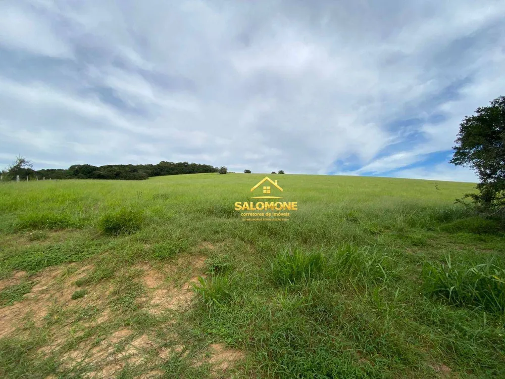 Fazenda, 214 hectares - Foto 14