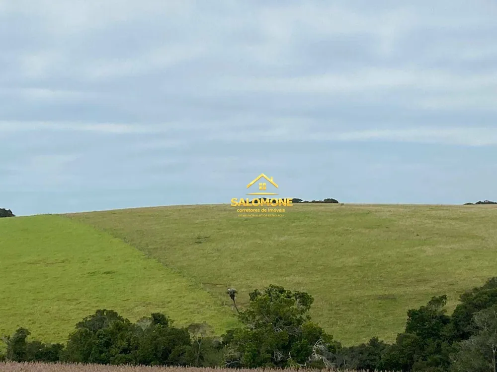 Fazenda, 214 hectares - Foto 10