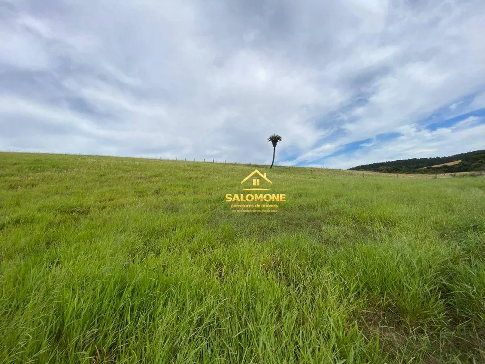 Fazenda, 214 hectares - Foto 6