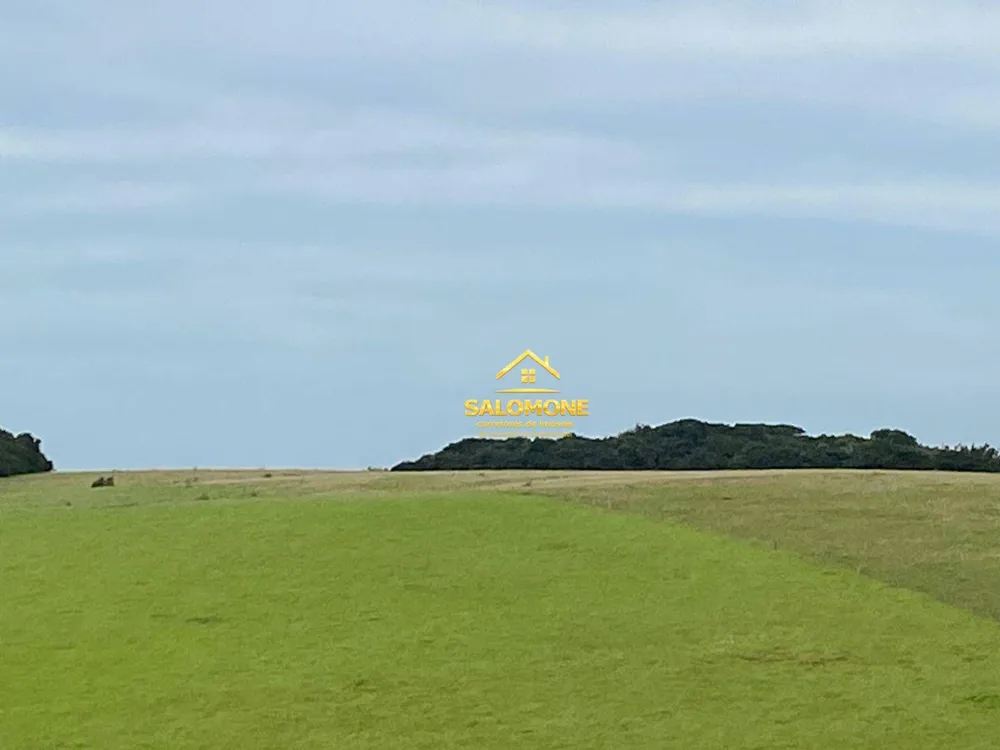 Fazenda, 214 hectares - Foto 3