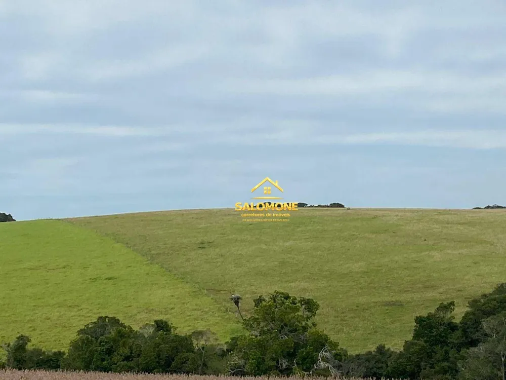 Fazenda, 214 hectares - Foto 4