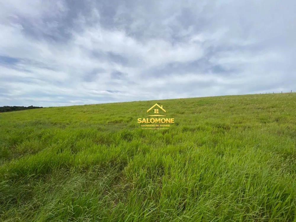 Fazenda, 214 hectares - Foto 15