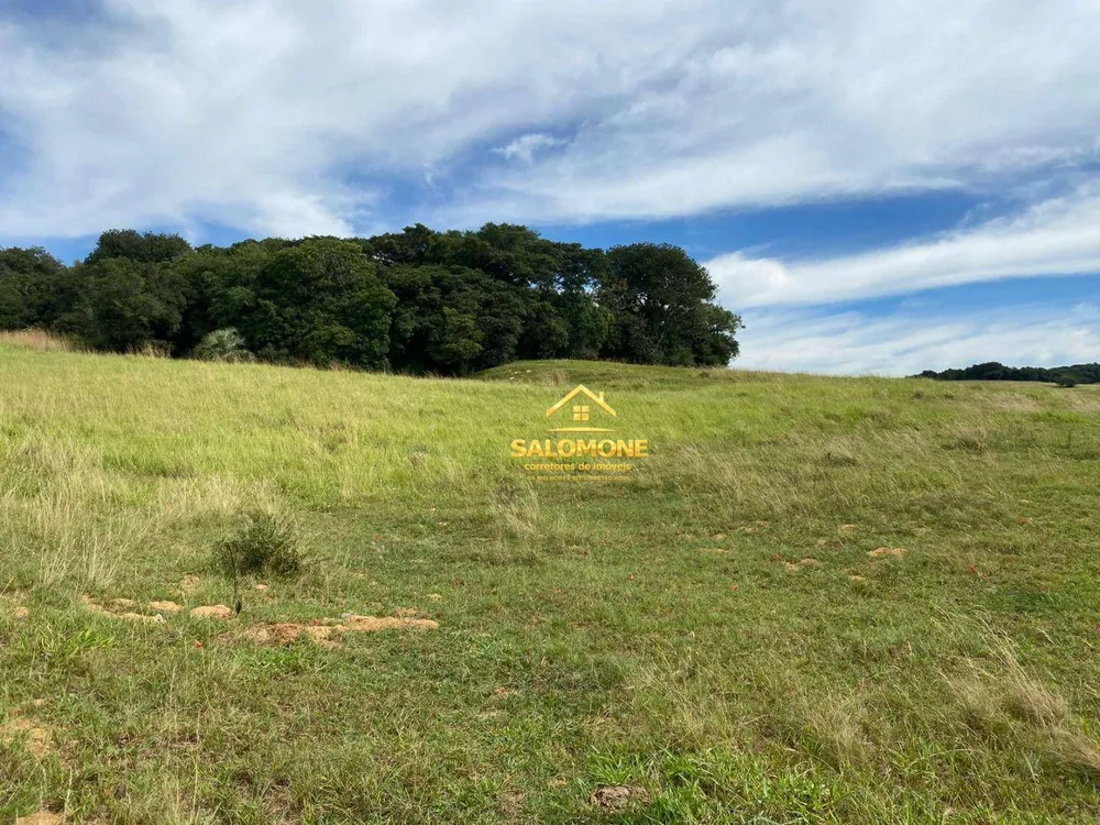 Fazenda, 214 hectares - Foto 3