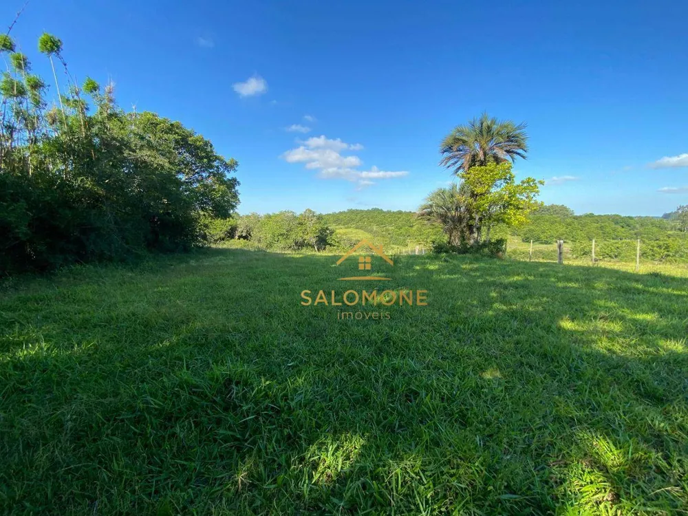 Sítio, 5 hectares - Foto 11