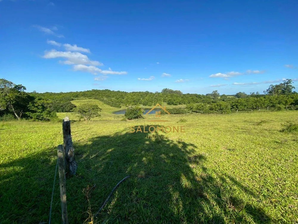 Sítio, 5 hectares - Foto 9