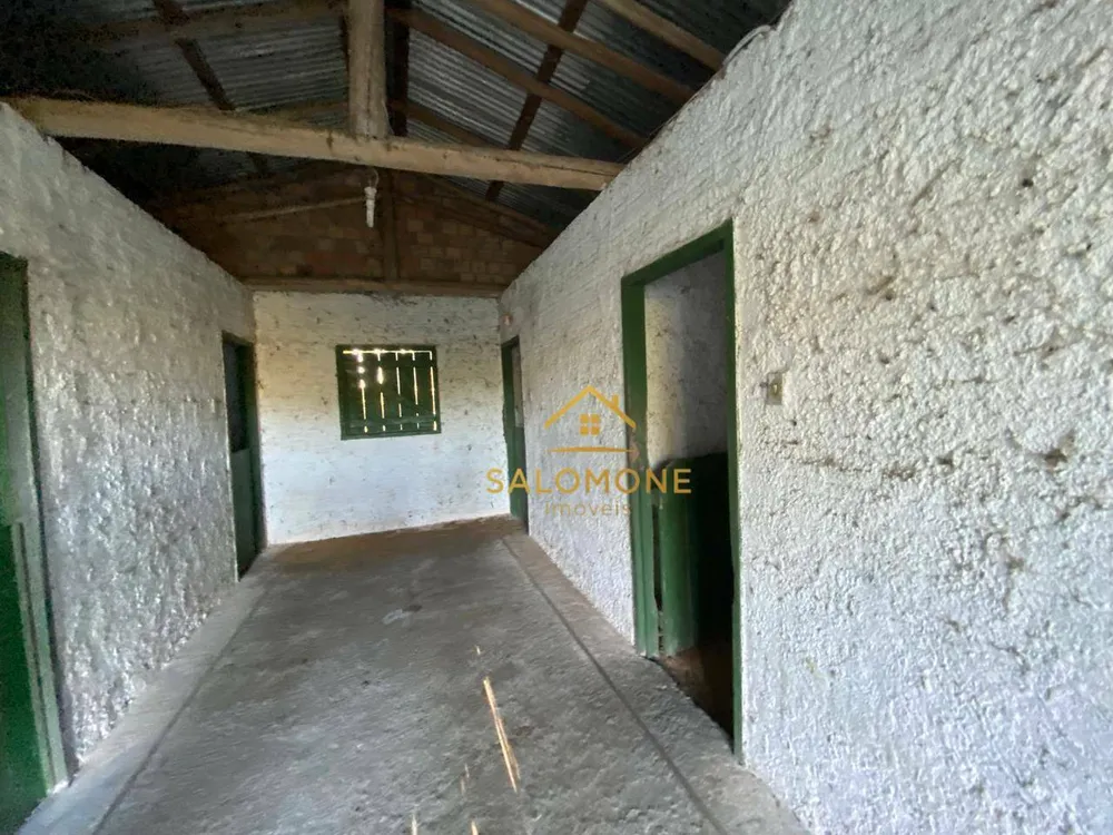 Sítio, 3 quartos, 5 hectares - Foto 3