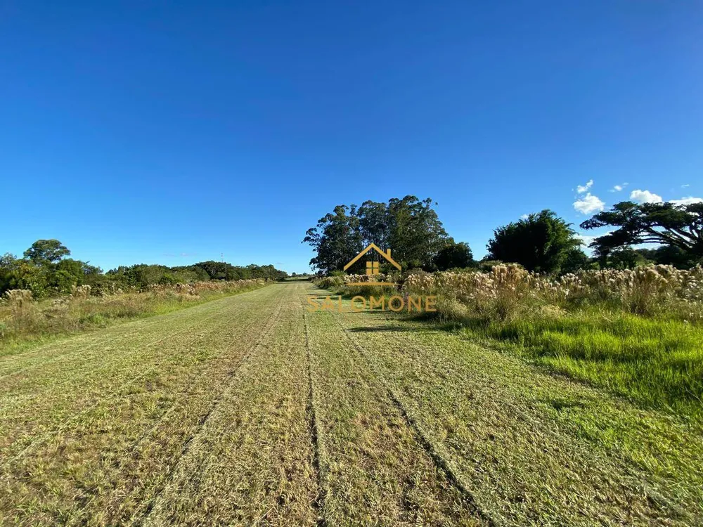 Sítio, 3 quartos, 5 hectares - Foto 7