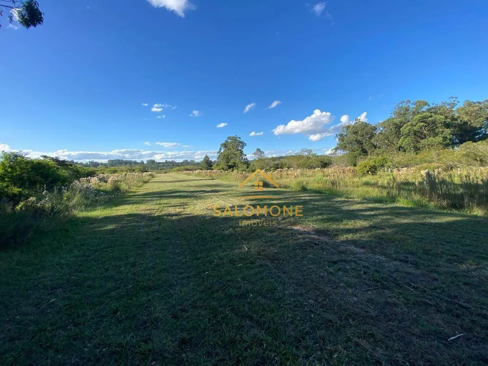 Sítio, 3 quartos, 5 hectares - Foto 12