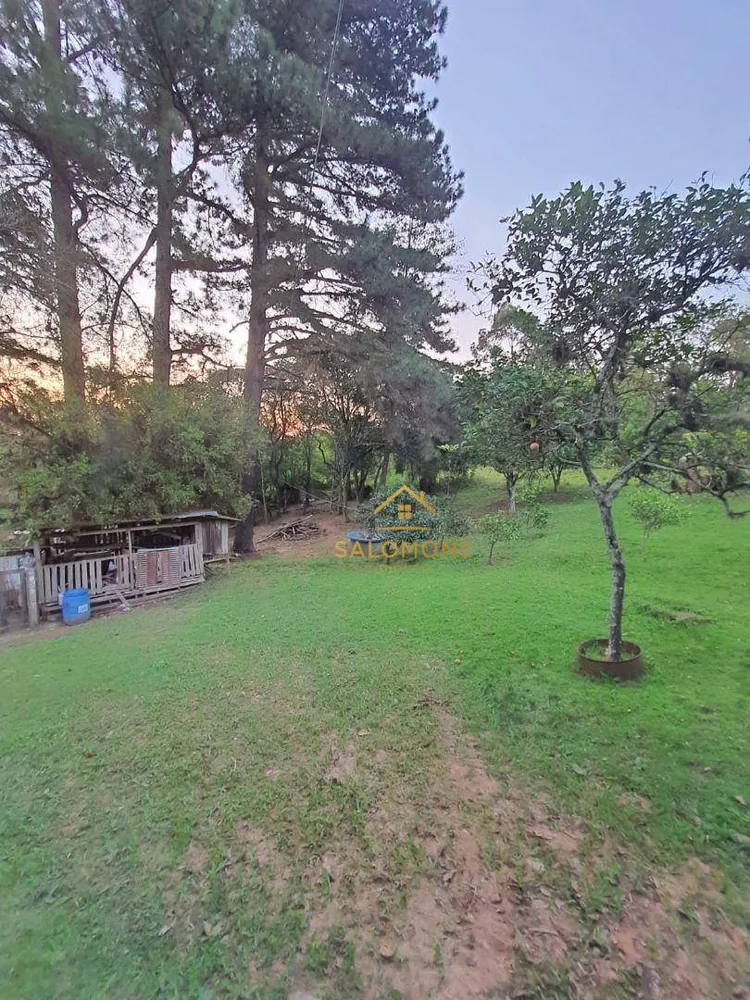 Sítio, 3 quartos, 4000 m² - Foto 16