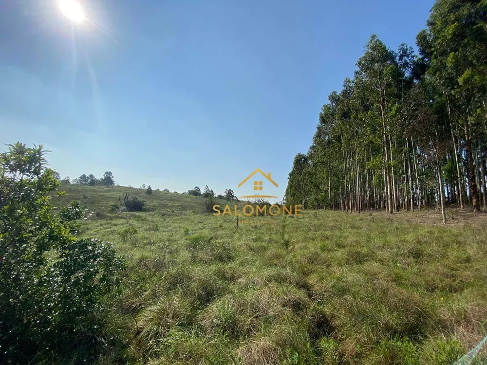 Terreno, 6 hectares - Foto 7