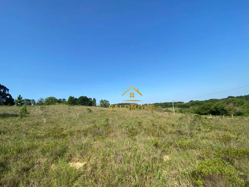 Terreno, 6 hectares - Foto 4