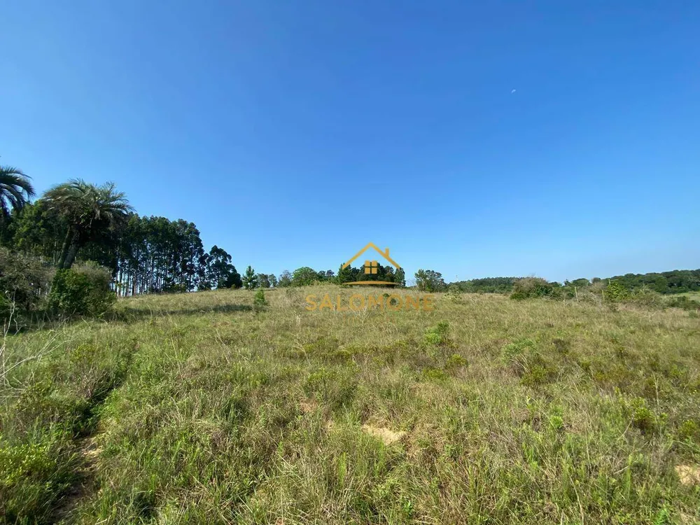 Terreno, 6 hectares - Foto 3