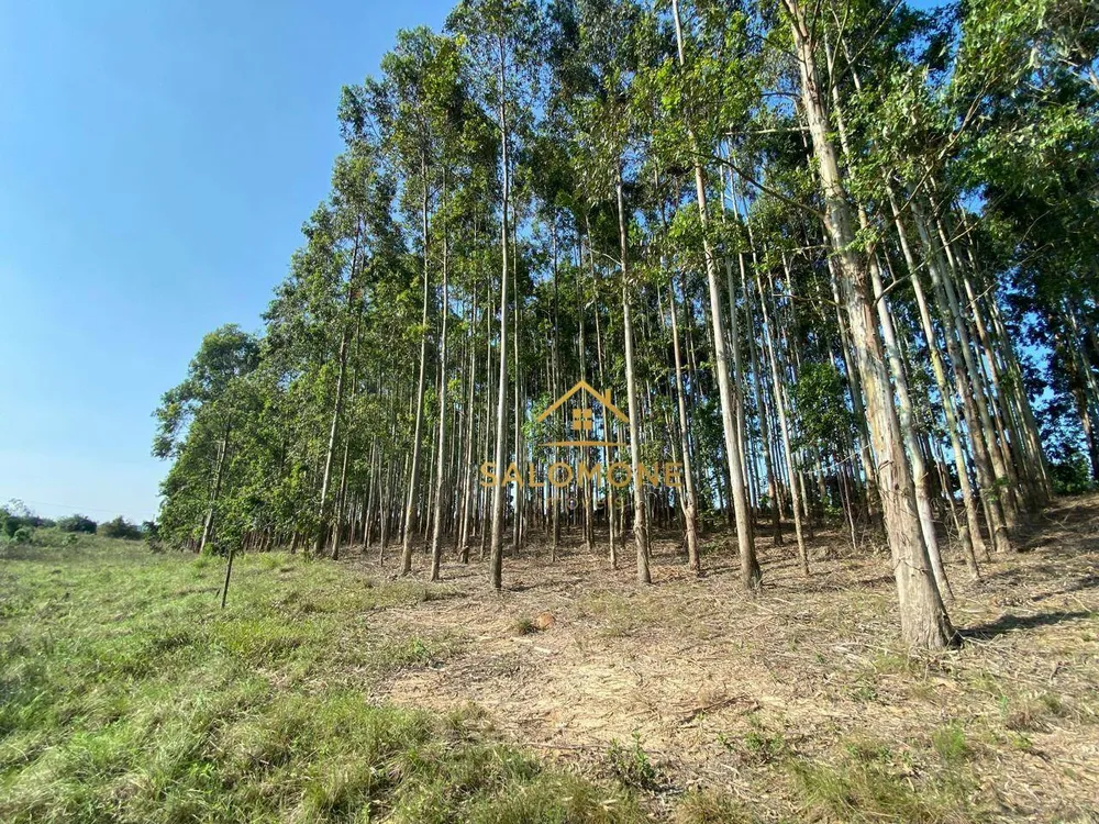 Terreno, 6 hectares - Foto 1