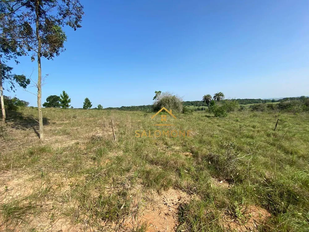 Terreno, 6 hectares - Foto 8