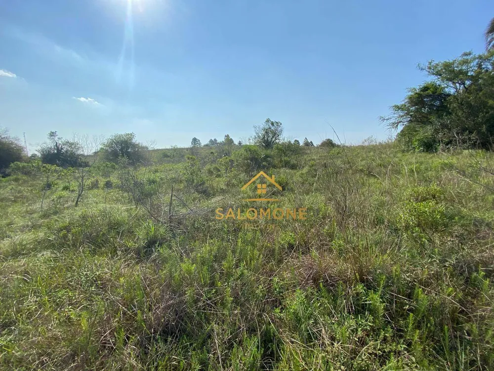 Terreno, 6 hectares - Foto 6