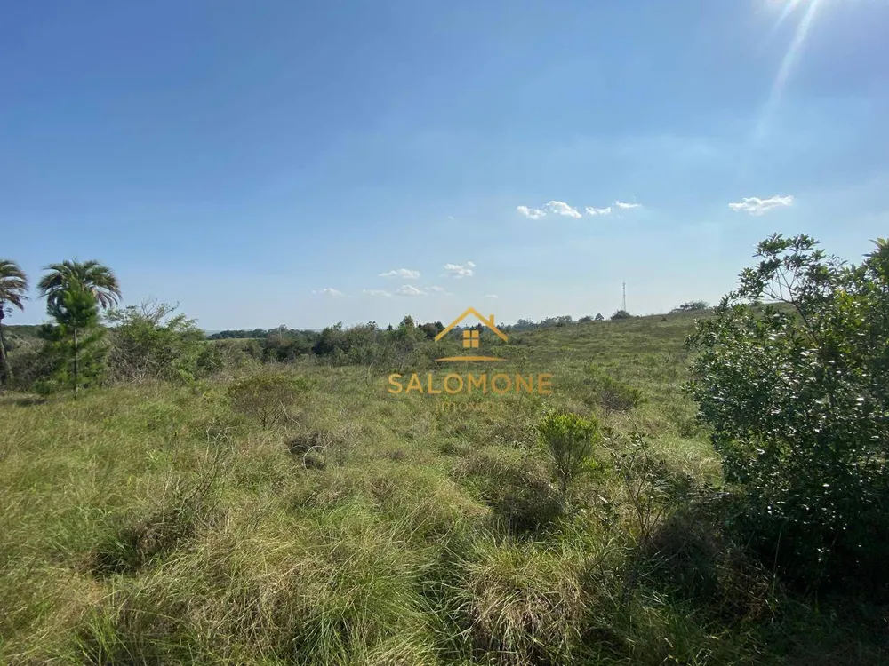 Terreno, 6 hectares - Foto 10