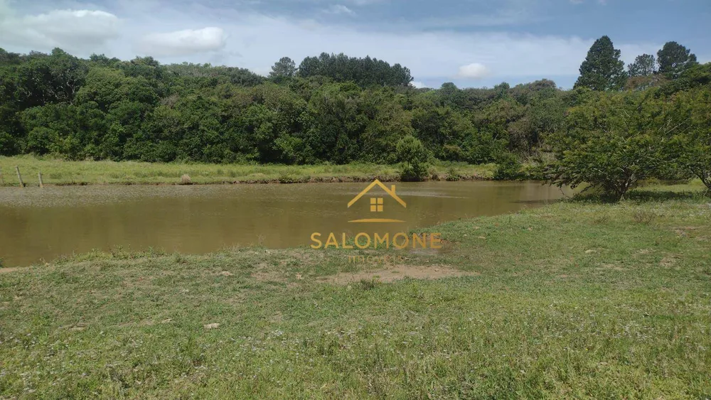 Sítio, 16 hectares - Foto 2