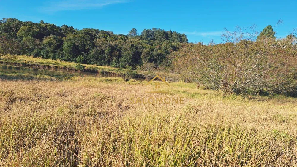 Sítio, 16 hectares - Foto 8