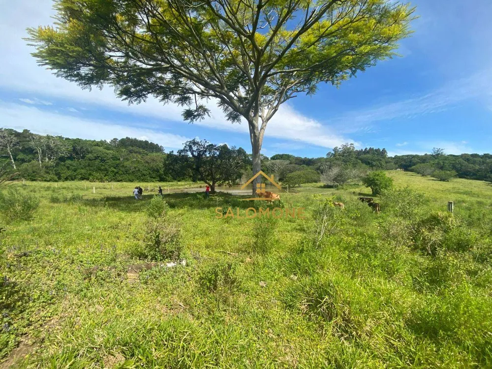 Sítio, 16 hectares - Foto 13