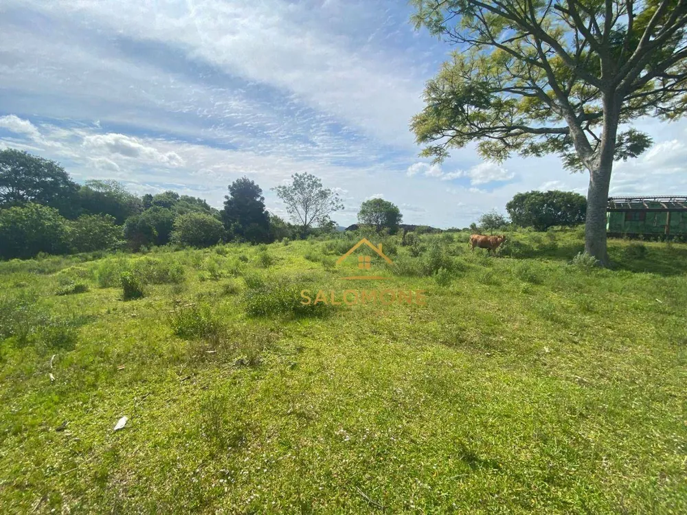 Sítio, 16 hectares - Foto 4