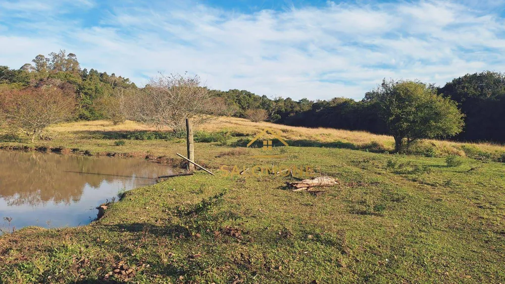 Sítio, 16 hectares - Foto 11