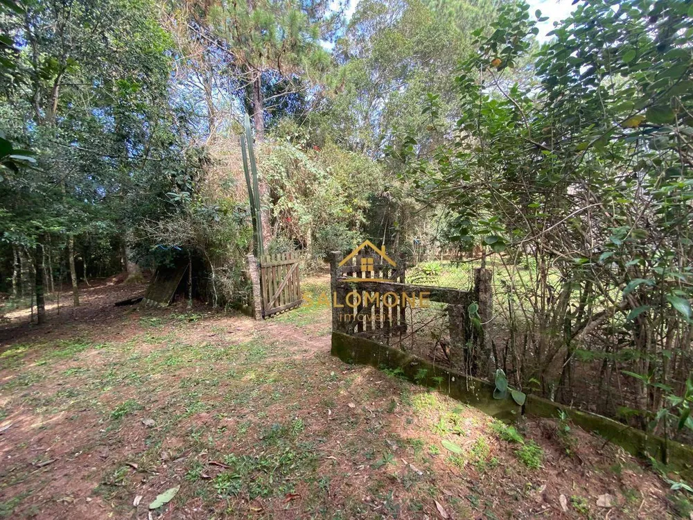 Sítio, 1 quarto, 10000 m² - Foto 11