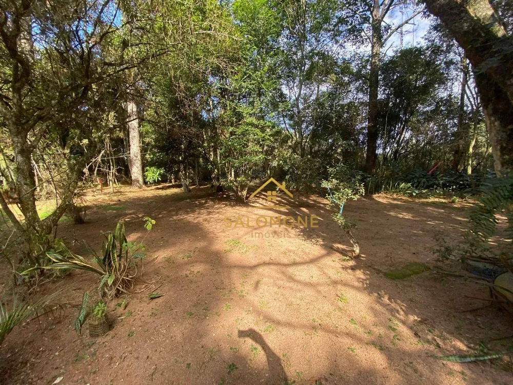 Sítio, 1 quarto, 10000 m² - Foto 4
