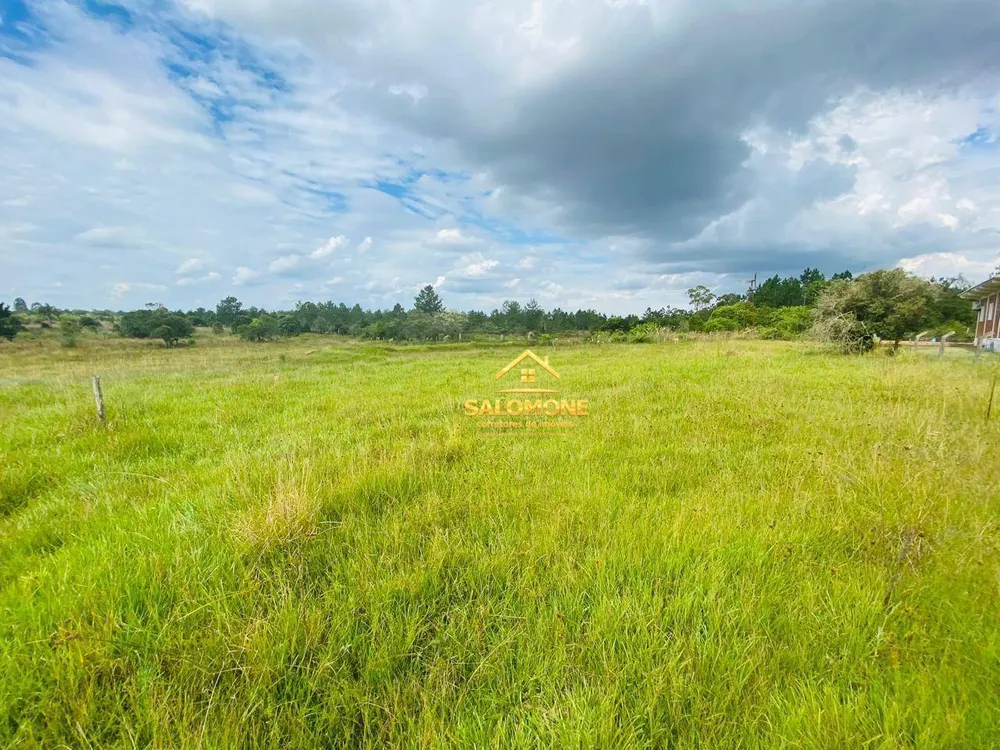 Sítio, 1 hectares - Foto 4