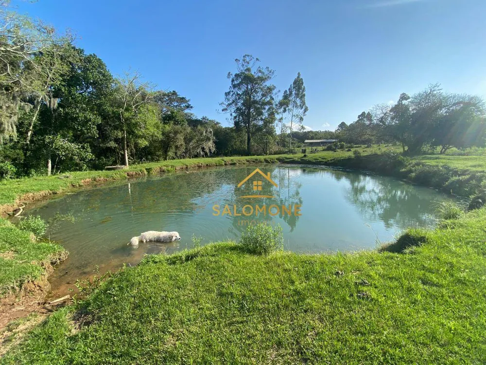 Sítio, 4 quartos, 22 hectares - Foto 15