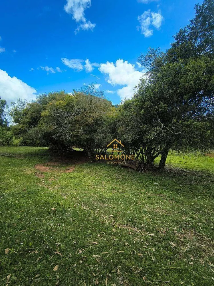 Sítio, 2 quartos, 2 hectares - Foto 4