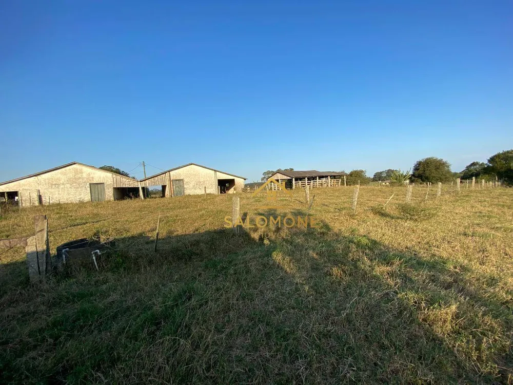 Sítio, 4 quartos, 2 hectares - Foto 8