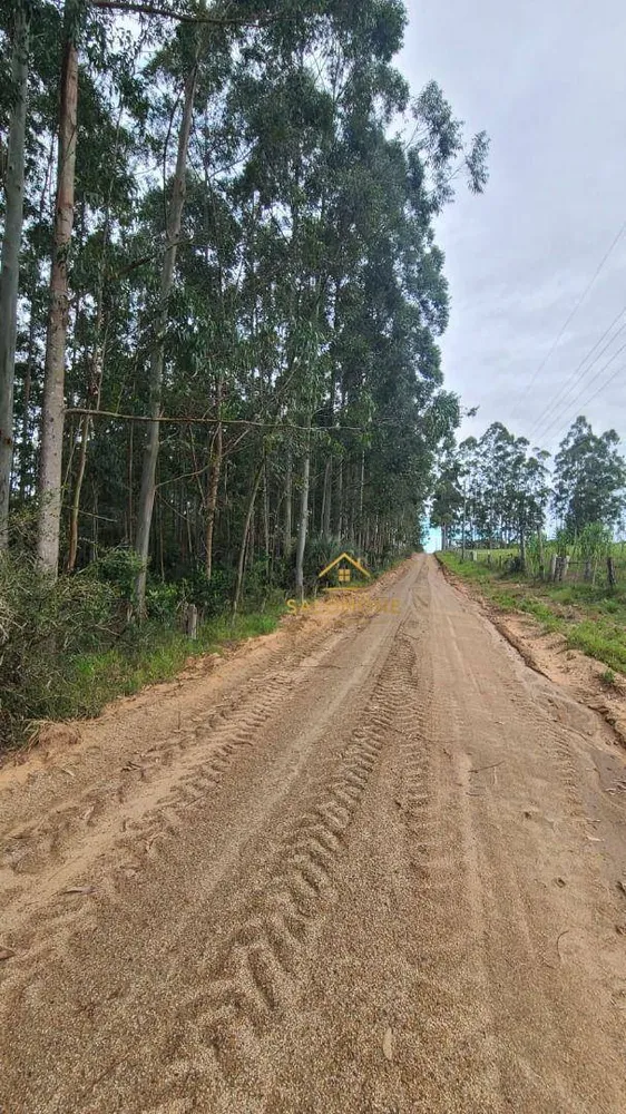 Terreno, 19 hectares - Foto 11