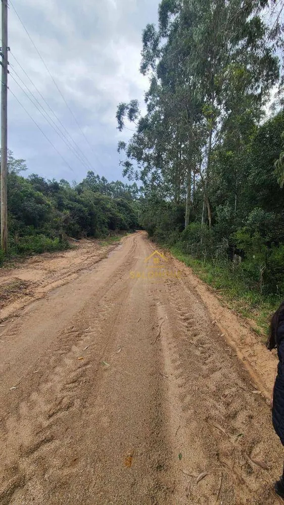 Terreno, 19 hectares - Foto 12