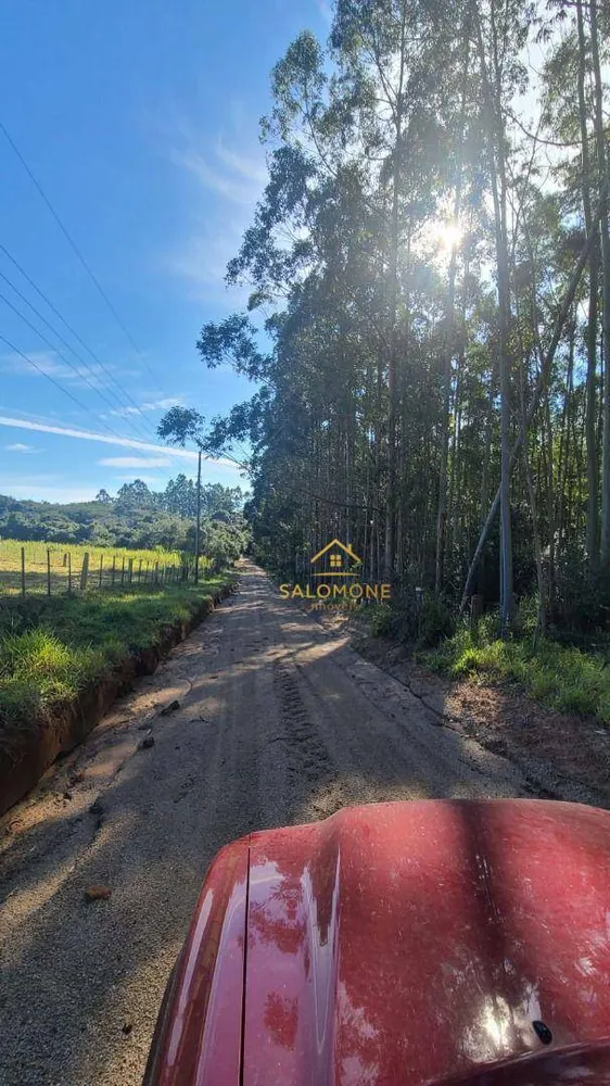 Terreno, 19 hectares - Foto 6