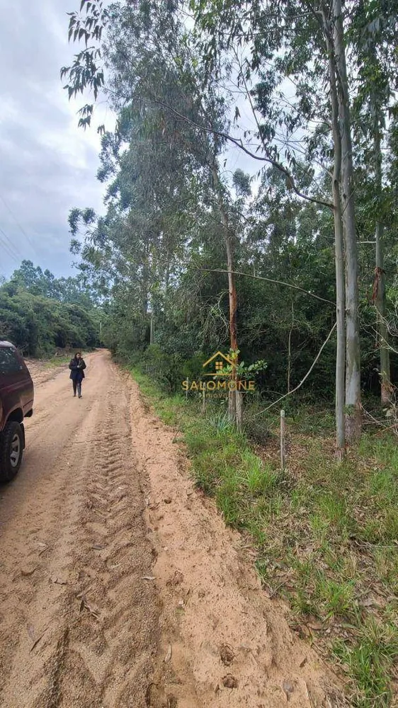Terreno, 19 hectares - Foto 10