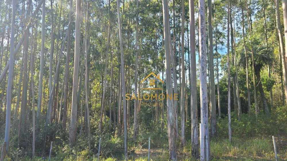 Terreno, 19 hectares - Foto 7