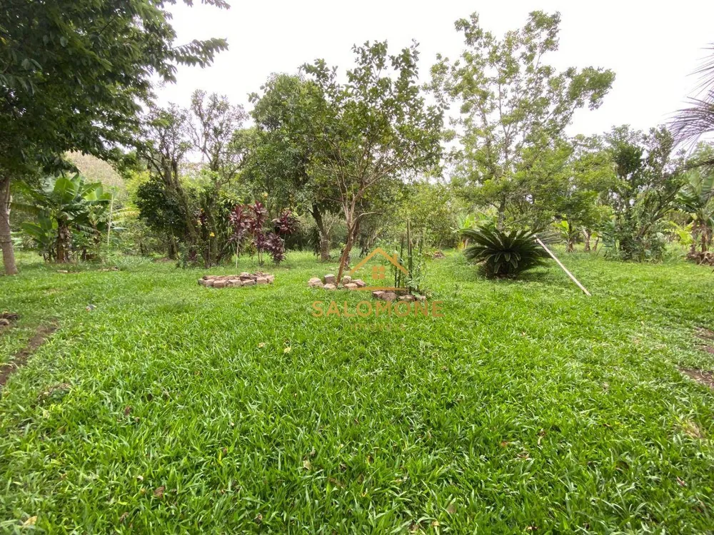 Sítio, 2 quartos, 7473 m² - Foto 15