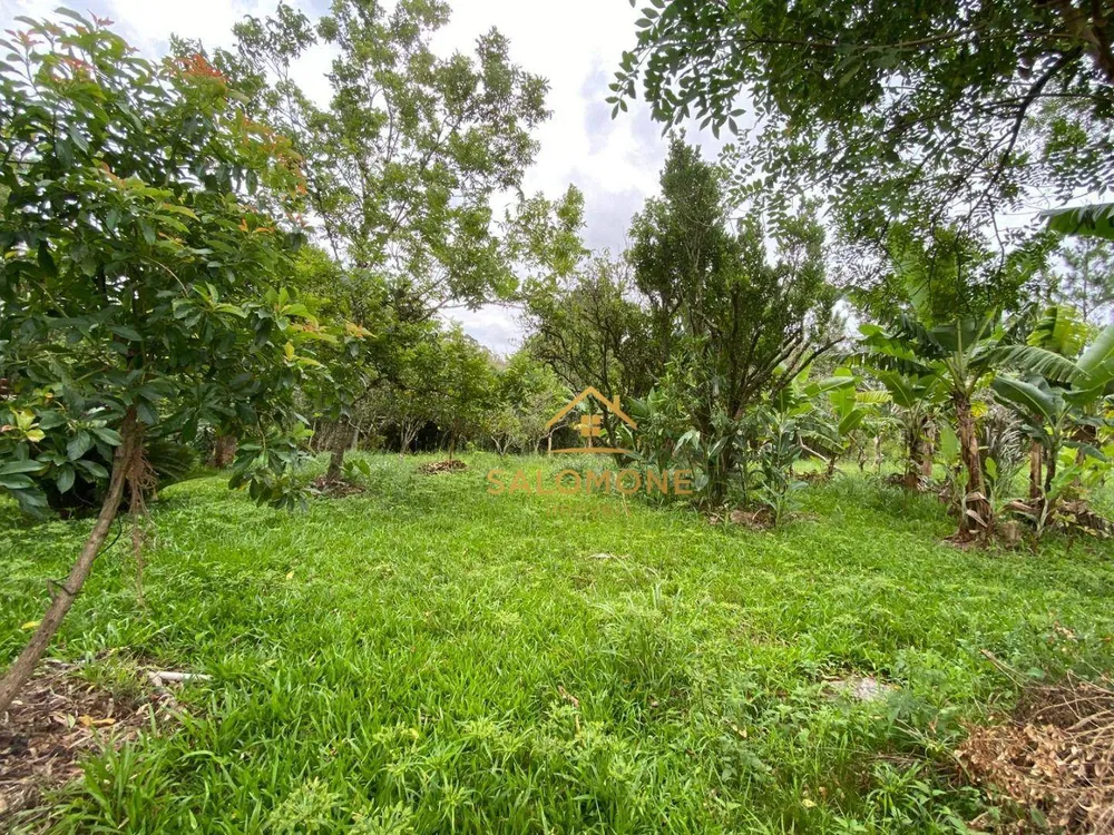 Sítio, 2 quartos, 7473 m² - Foto 13