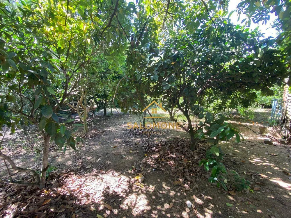 Sítio, 2 quartos, 1200 m² - Foto 10