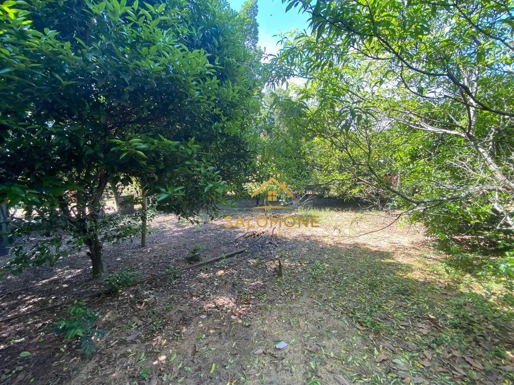 Sítio, 2 quartos, 1200 m² - Foto 8