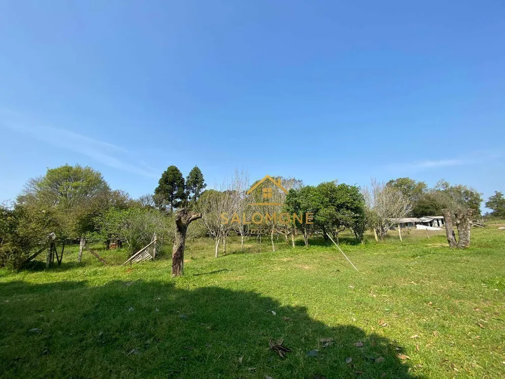 Sítio, 4 quartos, 8151 m² - Foto 6
