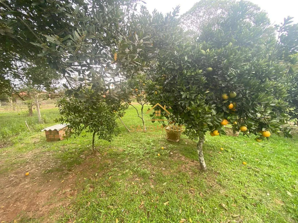 Sítio, 3 quartos, 1050 m² - Foto 15