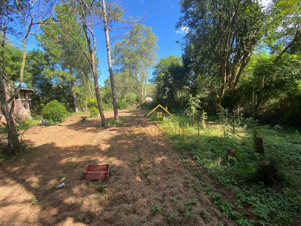 Chácara, 3 quartos, 4770 m² - Foto 6