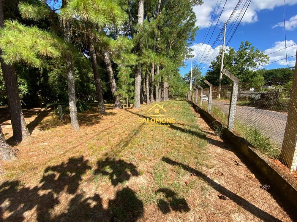 Sítio, 3 quartos, 3 hectares - Foto 8