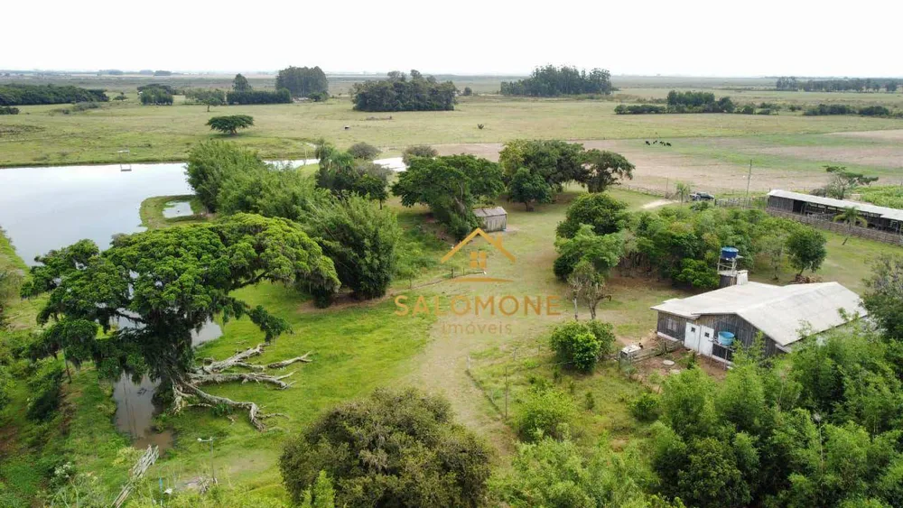 Fazenda, 46 hectares - Foto 1