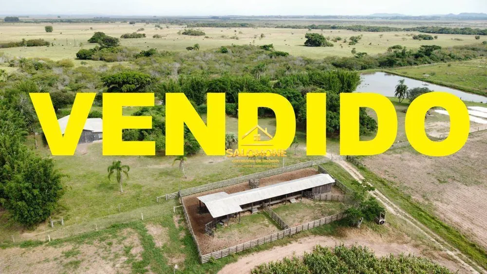 Fazenda, 46 hectares - Foto 4