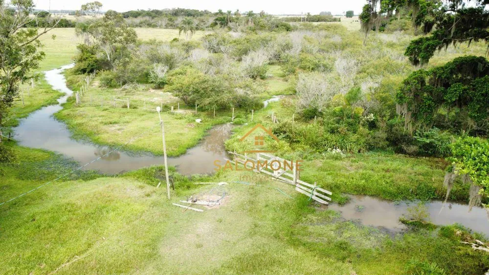 Fazenda, 46 hectares - Foto 7