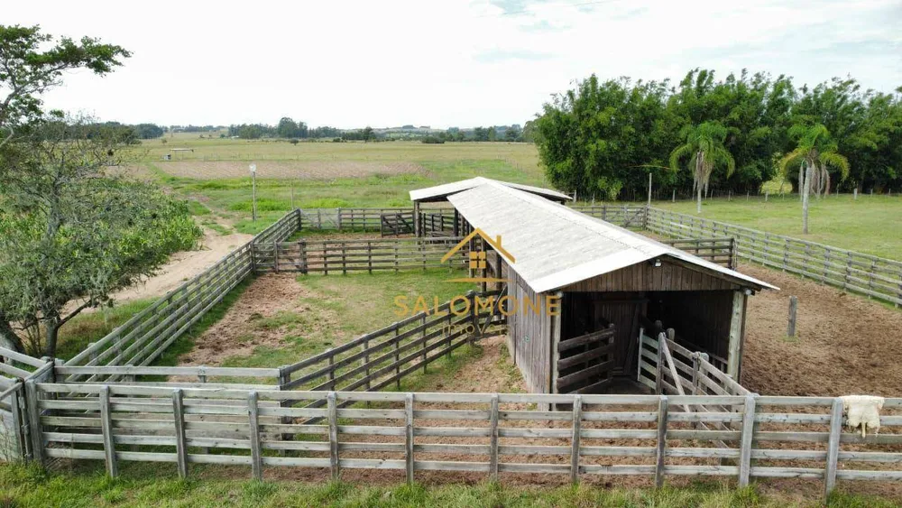 Fazenda, 46 hectares - Foto 3