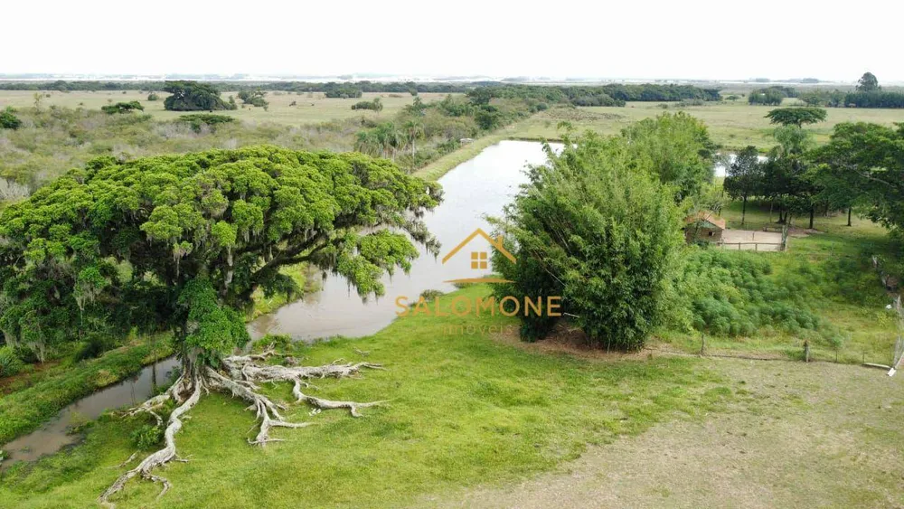 Fazenda, 46 hectares - Foto 2