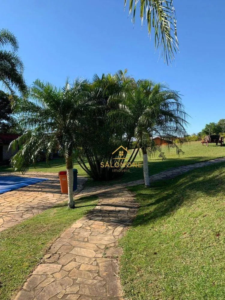 Sítio, 24 hectares - Foto 12